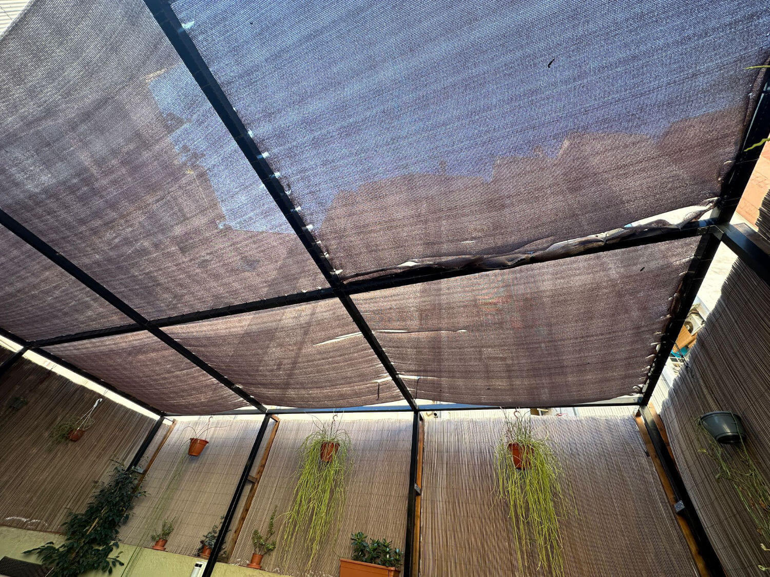 patio-shade-cloth-with-hanging-plants-palm-solutions-barcelona